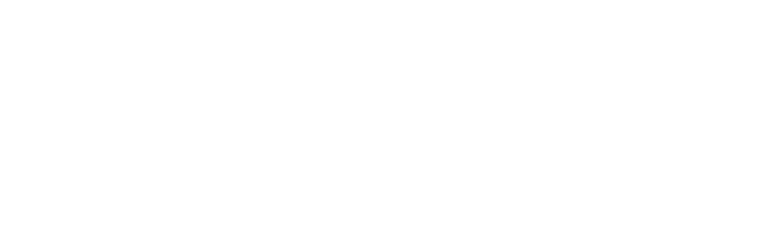 Font preview for Birdland Aeroplane Bold